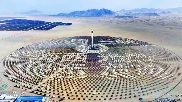 17470190587622114 (1).jpg